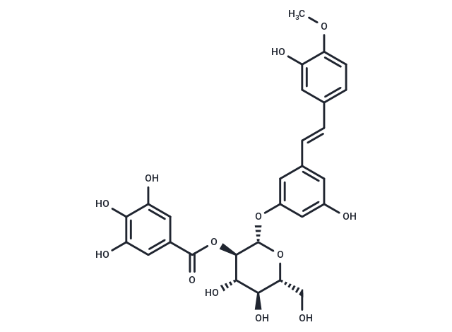 Rhaponticin 2′′-O-gallate