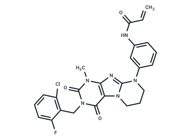 KRAS G12C inhibitor 30