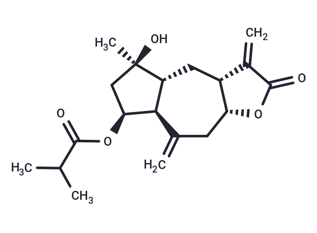 2beta-(Isobutyryloxy)florilenalin