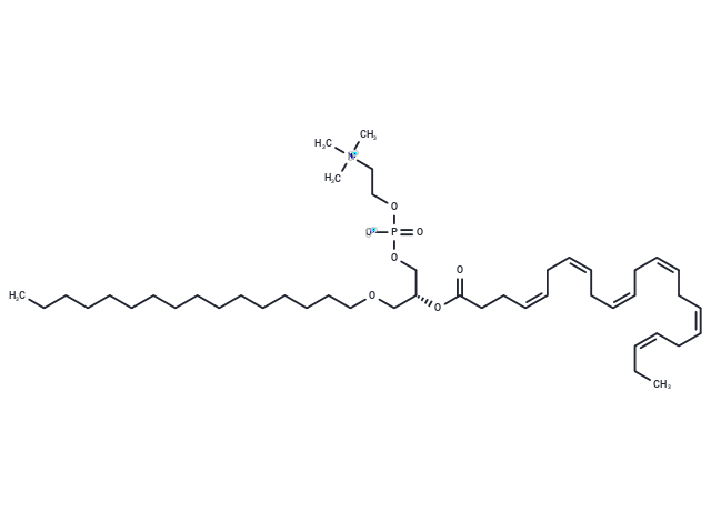 1-O-Hexadecyl-2-O-docosahexaenoyl-sn-glycero-3-phosphorylcholine