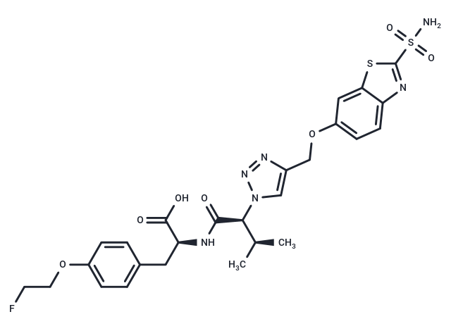 VM4-037