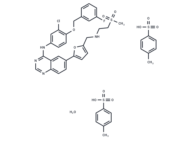 Lapatinib ditosylate monohydrate