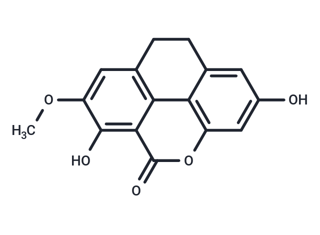 Oxoflaccidin