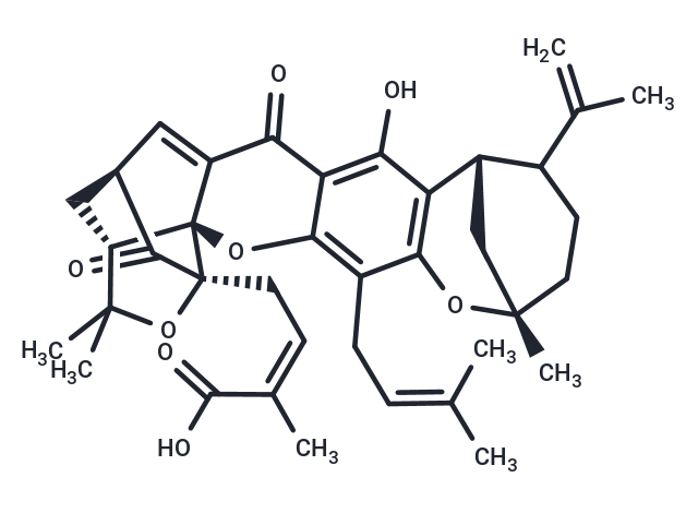 Epigambogellic acid