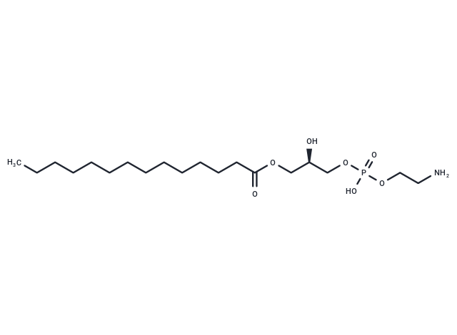 1-Myristoyl-2-hydroxy-sn-glycero-3-PE