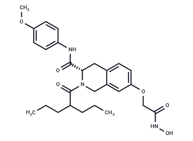 ZYJ-34v