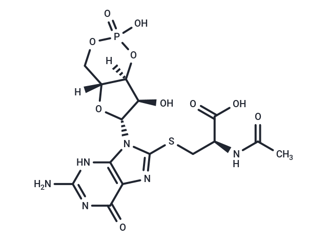 Cys-C-cGMP