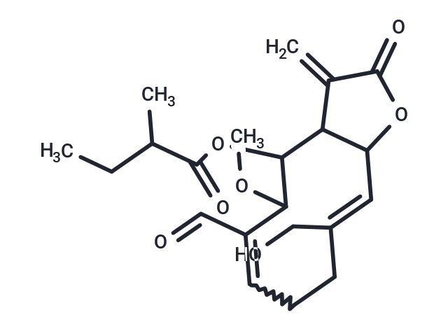 Lecocarpinolide J