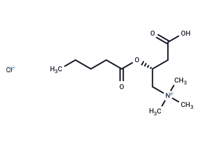 Valeryl-L-carnitine (chloride)