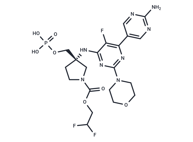 PF-06862309