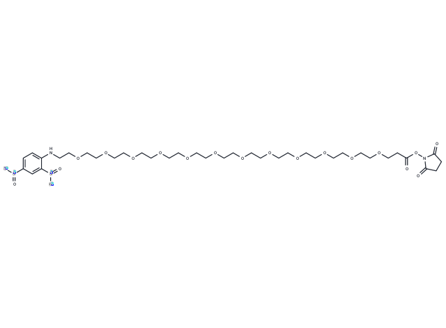 DNP-PEG12-NHS ester