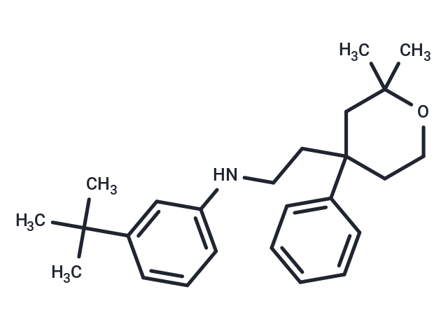 ICMT-IN-46