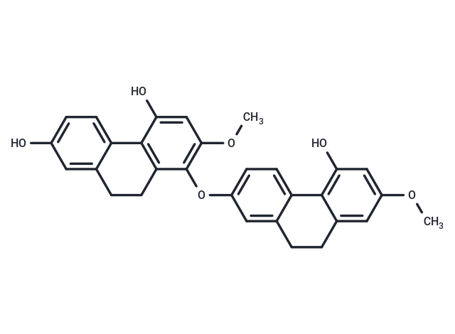 Phoyunnanin E