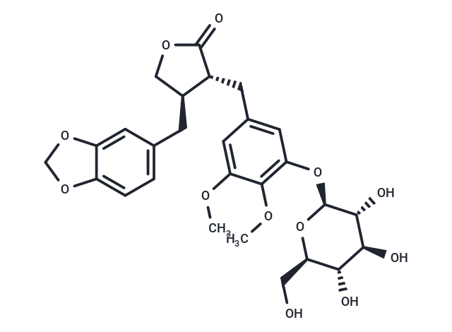 Wenchuanensin