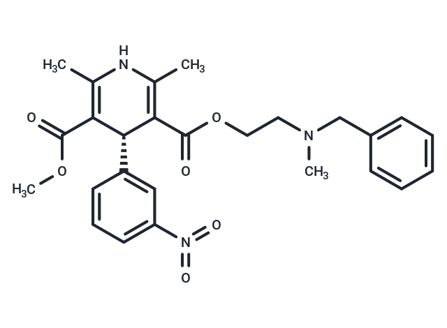 (R)-Nicardipine