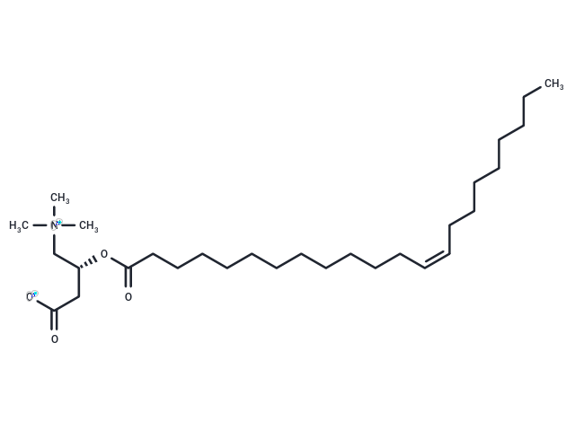 Erucyllevocarnitine