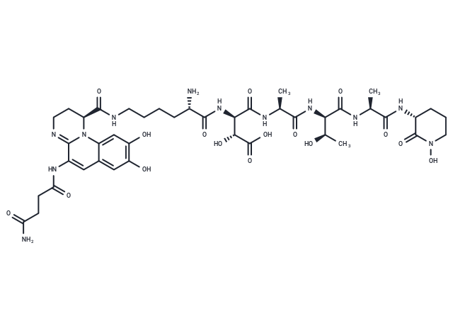 Pseudobactin