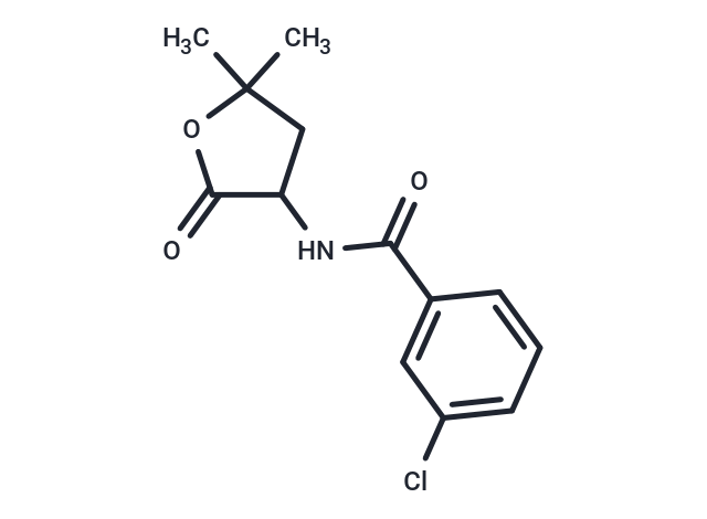 Benzamide, m-chloro-N-(5,5-dimethyl-2-oxotetrahydro-3-furyl)-