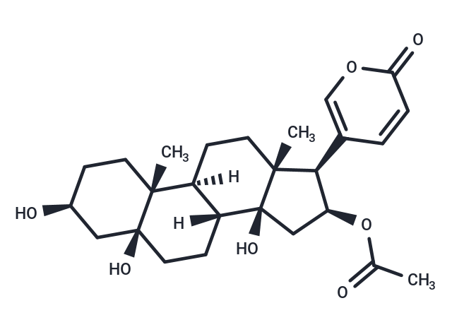 5β-Hydroxybufotalin