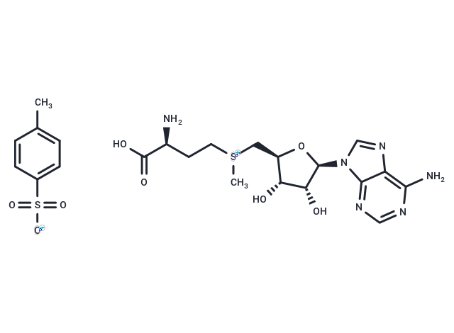 S-(5'-Adenosyl)-L-methionine tosylate