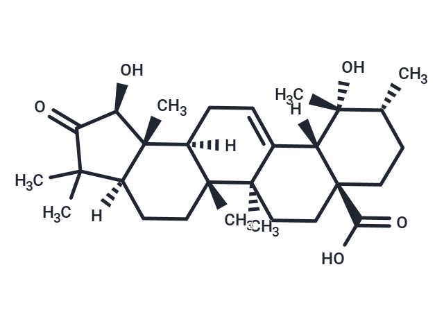 Rubuminatus B