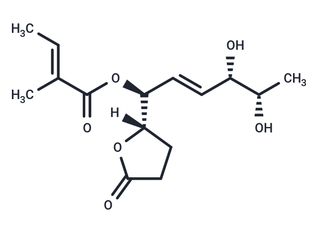 Phomopsolidone B