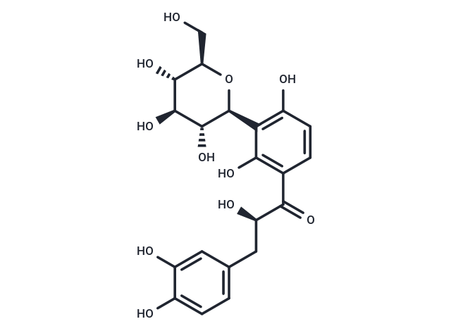 Coatline B