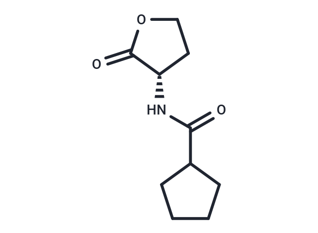 RhlR Agonist S4