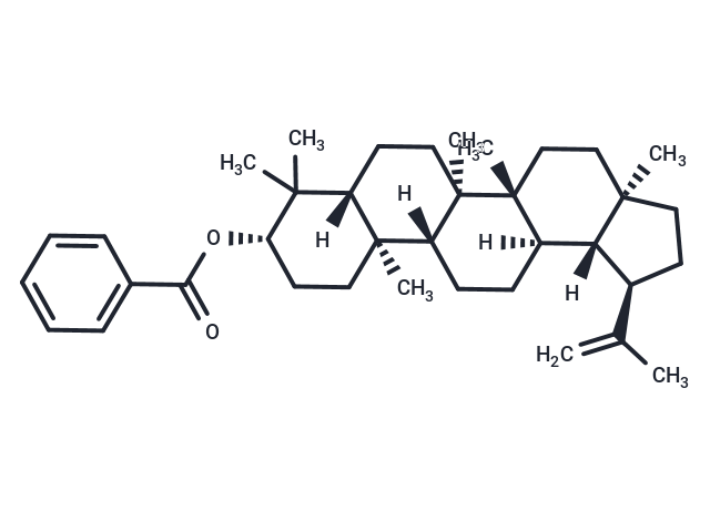 Lupeol benzoate