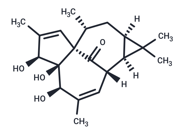 20-DEOXYINGENOL