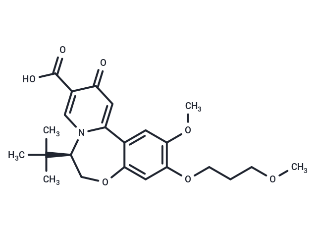 GST-HG131