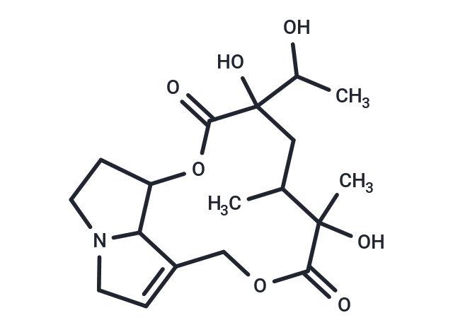 Jacoline