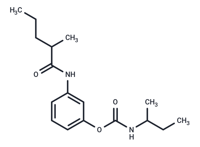 Valeranilide, 3'-hydroxy-2-methyl-, sec-butylcarbamate (ester)