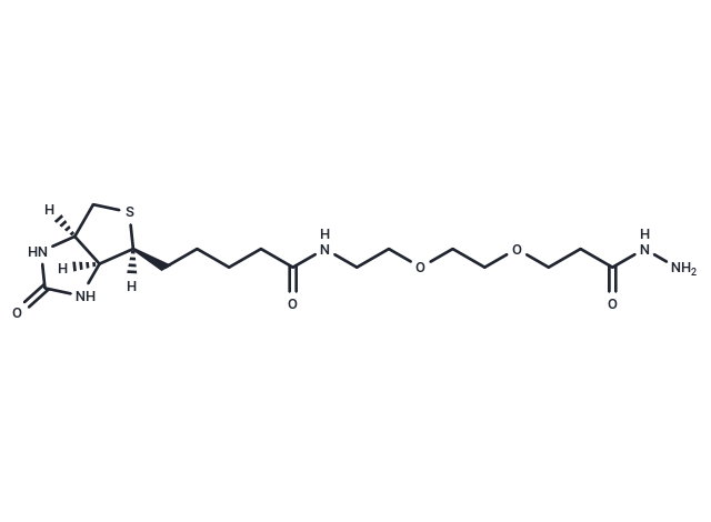 (+)-Biotin-PEG2-hydrazide