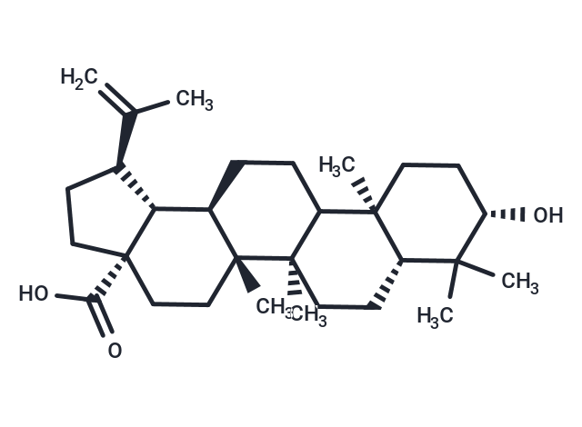 Betulinic acid (Mairin; Gratiolone; Platanol)