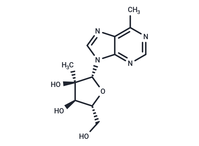 6-Methyl-9-(2-C-Methyl-beta-D-ribofuranosyl) purine