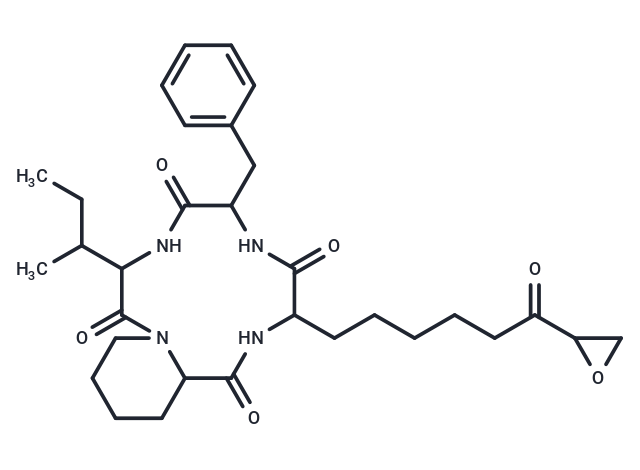 PF1070A