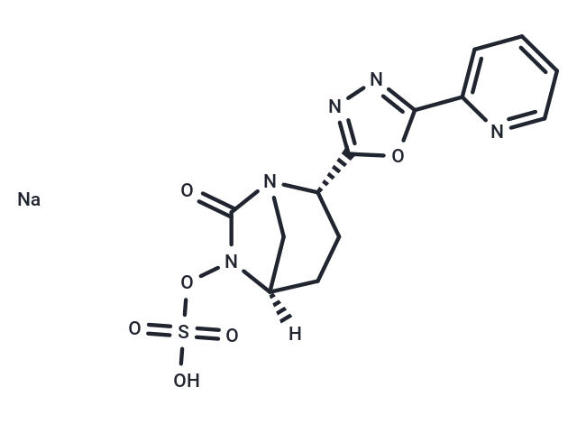 Antibacterial agent 45