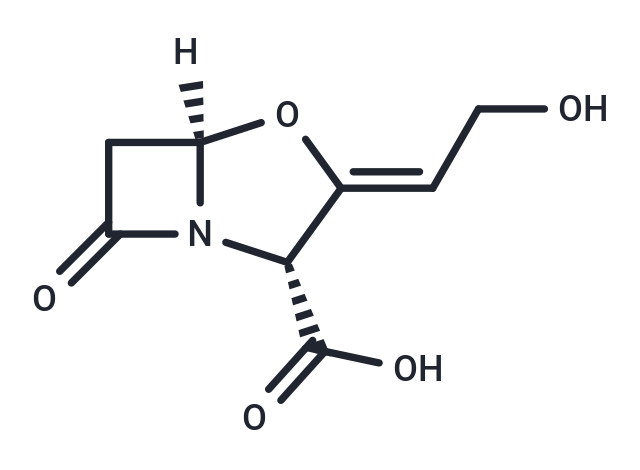 Clavulanic Acid