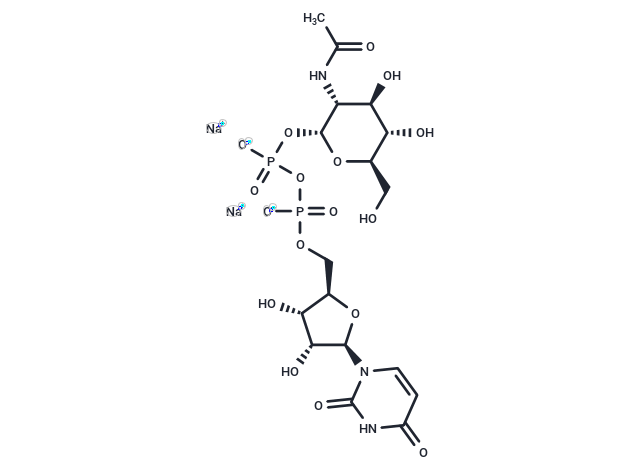 UDP-GlcNAc Disodium Salt