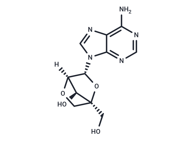 LNA-Adenosine