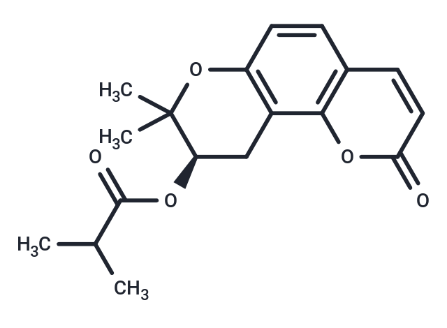 (R)-O-isobutyroyllomatin