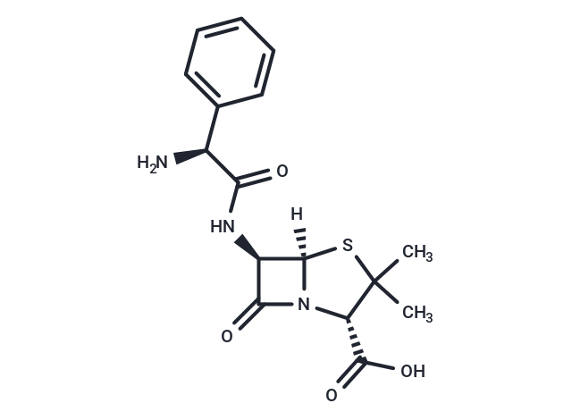 L-(+)-Ampicillin [19379-33-0]