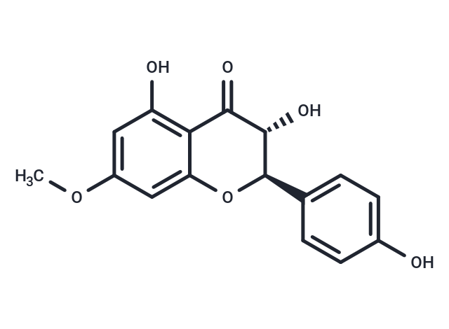 7-O-Methylaromadendrin
