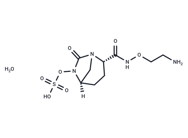 Nacubactam monohydrate