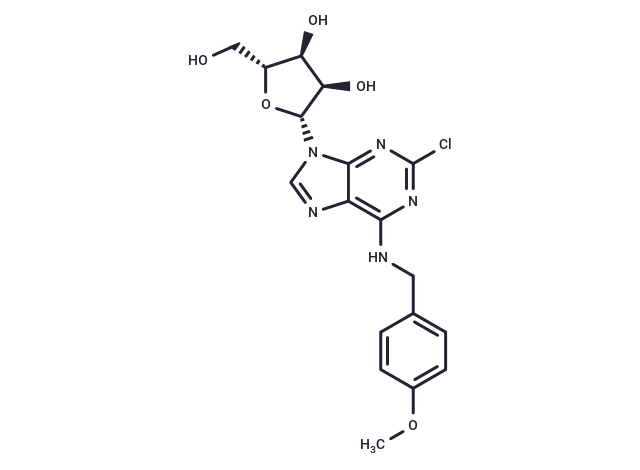 2’-Chloro-N6-(4-methoxy)benzyl   adenosine