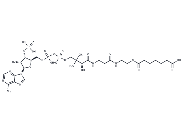 Pimeloyl-CoA