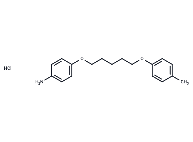 Aniline, p-(5-(p-tolyloxy)pentyloxy)-, hydrochloride