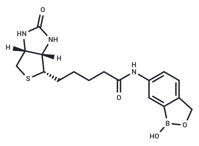 Bio-Ben