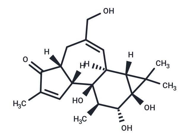 4-Deoxy-4α-phorbol